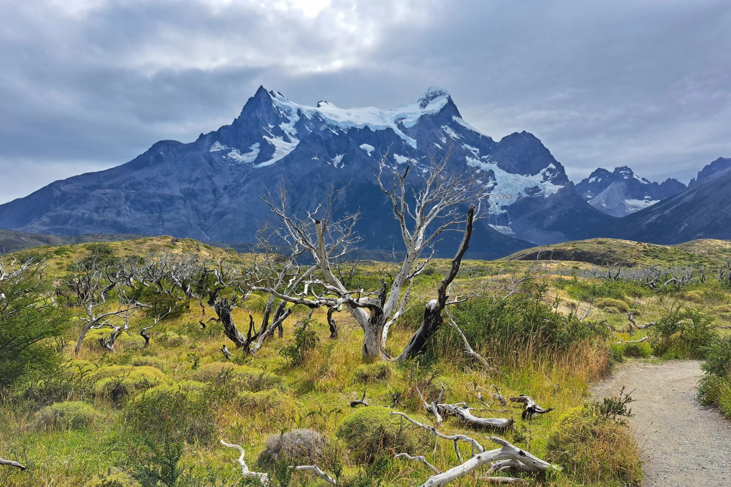 Patagonia in Shoulder Season: Why March Beats January — detail