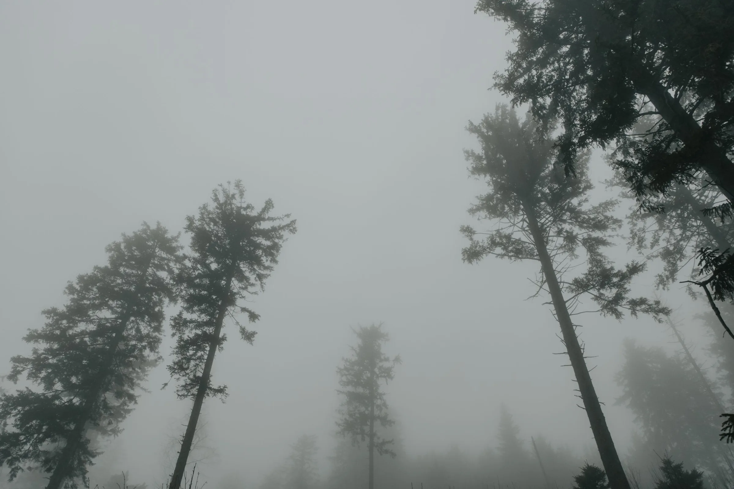 The Weather You're Avoiding Is the Photograph — scene