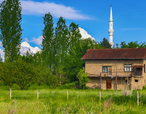 Farm Stays Are the Last Honest Hospitality