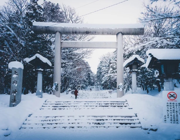 Hokkaido in Winter: A Field Guide to the Quiet North