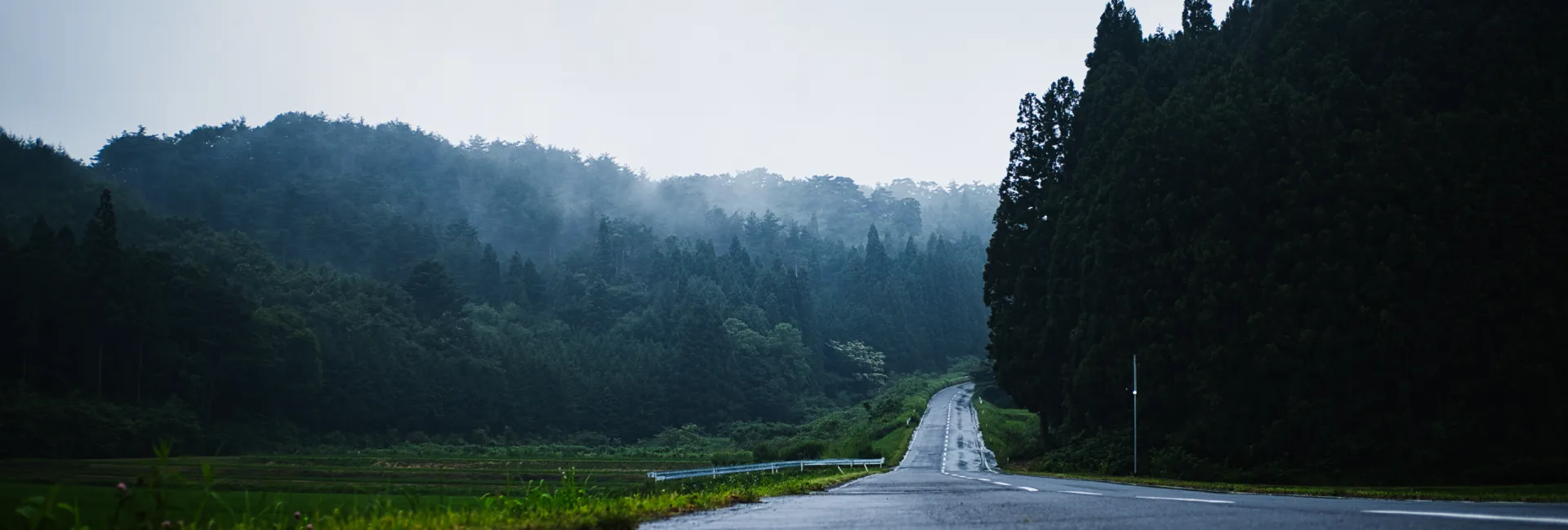 The Weather You're Avoiding Is the Photograph